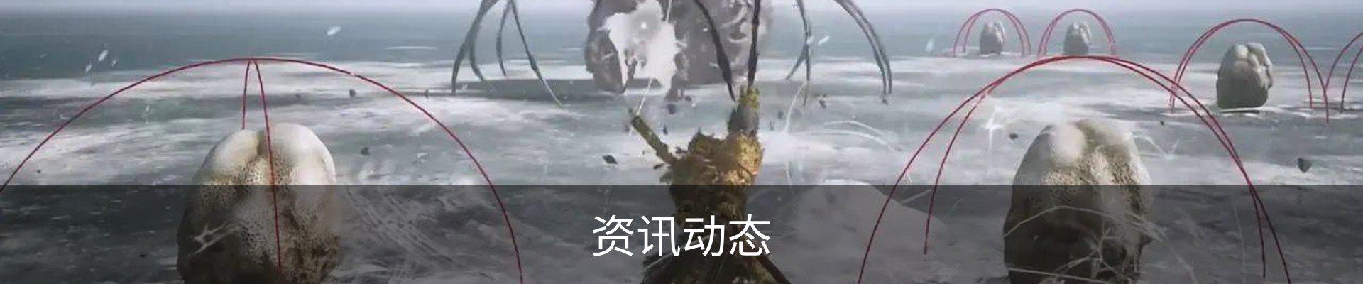 资讯动态