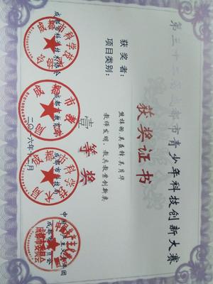 《中学生自我认识现状调查》小组研究性课题荣获成都市一等奖 - 学生活动 - 思品组 - 双流中学实验学校欢迎你!